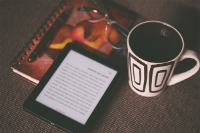 E-books in de Online Bibliotheek